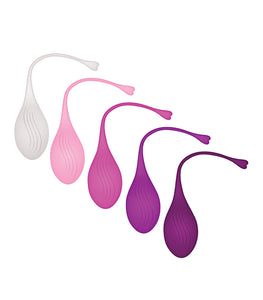 Evolved Tight & Delight Default Title